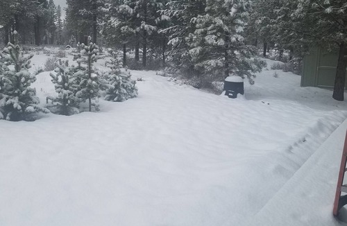 Sunriver Apartment | Studio apartment surrounded by national forest