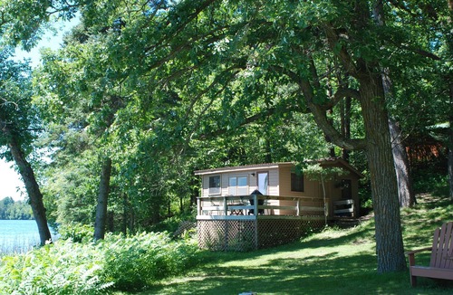 Nevis Cabin | Studio Cabin Hidden in Towering Pines within 10 feet of lake. Pets accepted!
