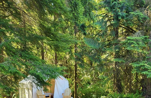 Arlington RV Rental | Tentrr Signature Site - Fern Gully Site 2