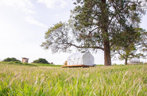 Central Point RV Rental | Tentrr Signature Site - Pines Place at Lane Creek Reserve