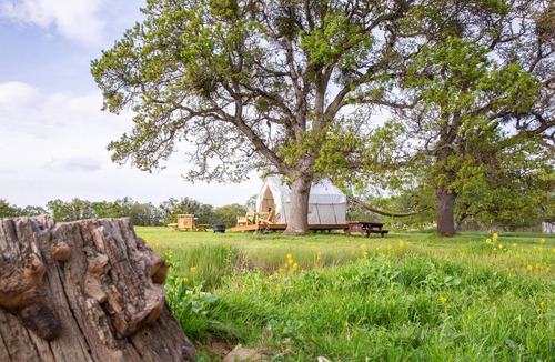 Central Point RV Rental | Tentrr Signature Site - Pines Place at Lane Creek Reserve