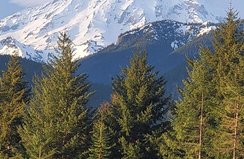 Packwood Cottage | The Alpenhaus:Cottage retreat near White Pass