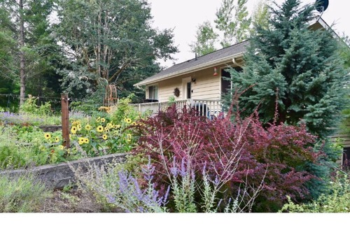 Packwood Cottage | The Alpenhaus:Cottage retreat near White Pass