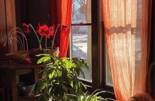Fairfield Apartment | The Artist's Secret Garden