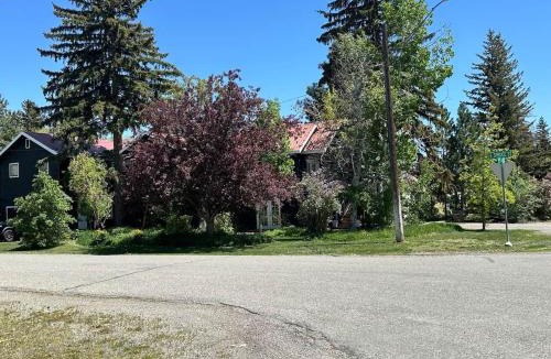 Hailey Bed & Breakfast | The Dandelion SV-Floret. B&B, Reimagined