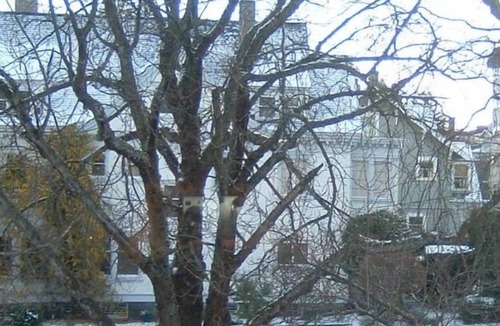 North End Condo | the Juliet, Best Area, Jacuzzi Bath, WD New Carpet