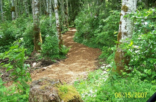Port Angeles Cottage | This Is The Place - Your Year Round Getaway! N. W. Living At Its Best!
