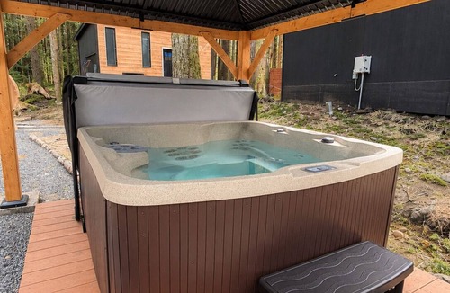 Ashford Apartment | Tiny Cabin Retreat @ Mt Rainier w/Hot Tub & Sauna
