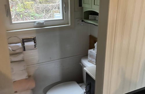 Greenwater Cabin | Tiny Home in the wilderness, 20min outside Mt. Rainer and Crystal Mountain