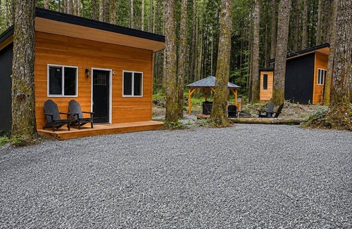 Ashford Apartment | Tiny Home Village at Mt. Rainier with Hot Tub & Sauna