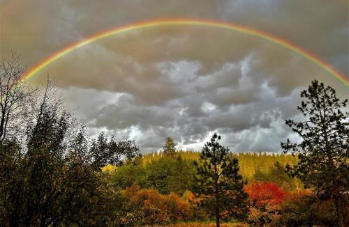 Chattaroy House | Tranquil Nature Retreat on 12 acres!