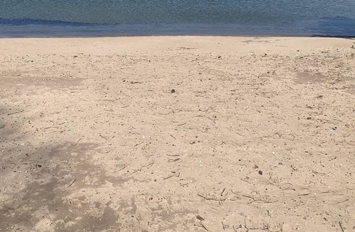 Suttons Bay Cottage | Travelers Retreat! Cozy cottage walkable to the beach and village adventures