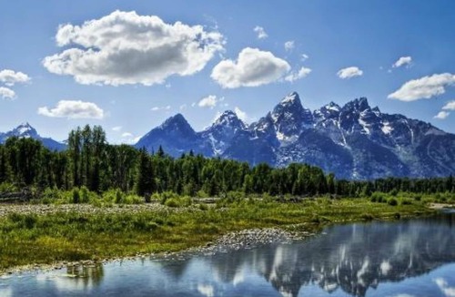 Moran Cottage | Unbelievable Discovery! Three Amazing, Spotless Wooden Cabins!