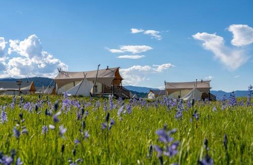 West Yellowstone Other | Under Canvas West Yellowstone