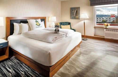 University District Hotel | University District Stay | 1 King Bed | Near Roosevelt Way