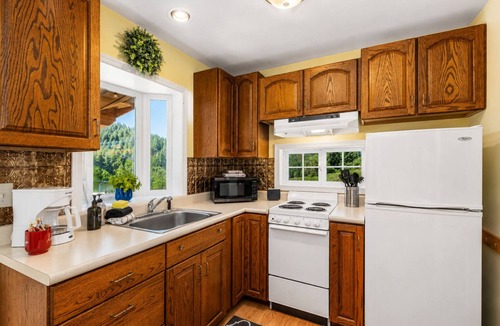 Leavenworth Cabin | Views | Hot Tub | Propane Pit | Tiny Home | Dogs