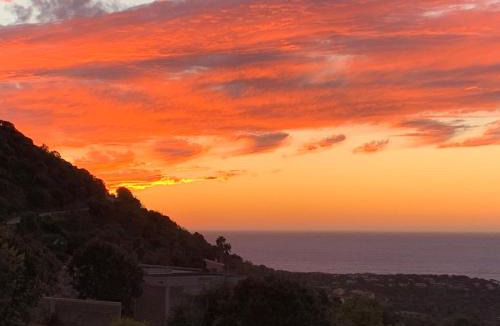 Corbara House | VILLA MACAGNA