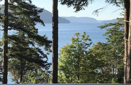 Eastsound Cottage | Water View, Impeccable Studio Cottage overlooking East Sound, Walk to Town, Close to Everything!