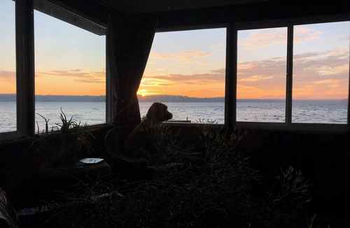 Endolyne Cottage | Waterfront Beach Cottage on Puget Sound/West Seattle