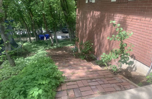 Bountiful Apartment | Wonderful Updated Remodel! Walkout Basement High in Bountiful Mountains!
