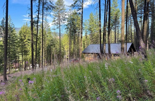 Winthrop Cabin | Woodlands Nest - modern cabin in the woods