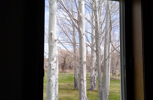 Big Timber House | Yellowstone River Retreat in Big Timber, Montana! A few minutes from Downtown.