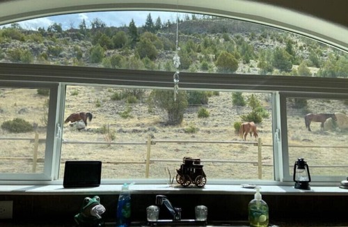 Pray House | Yellowstone Valley Buffalo Jump
