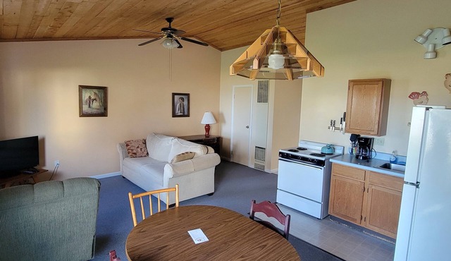 #11 Thomas' Parkside Cottages, 1BR Beachfront w/Huron views, Downtown location
