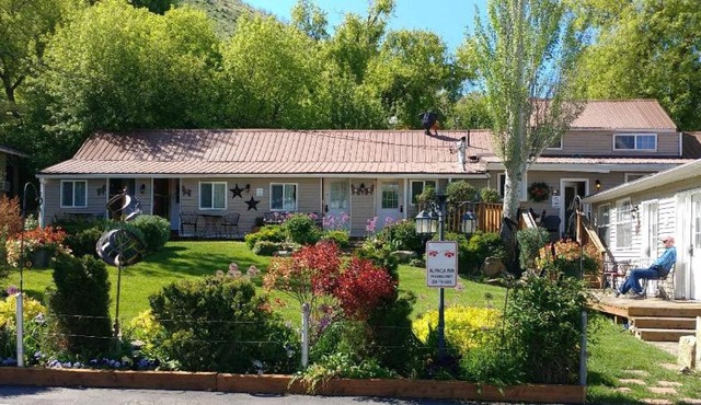 Alpaca Inn, The
