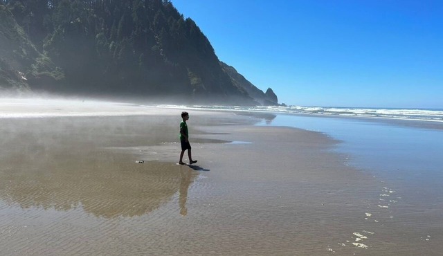 Amazing riverfront property on the Siuslaw! in Mapleton