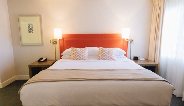 Ashland 1 BR King Suite w/Gym & pool