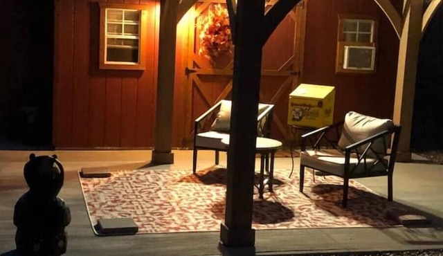 BEAR Tiny House Getaway on the Clearwater River