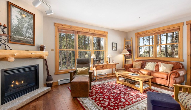 Beautiful Condo Nestled in the Pines/Shared Hot Tub/On Shuttle Route To Slopes
