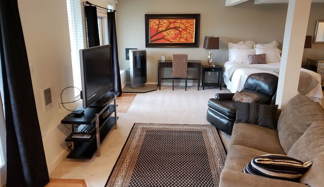 Beautiful Seattle View Studio: