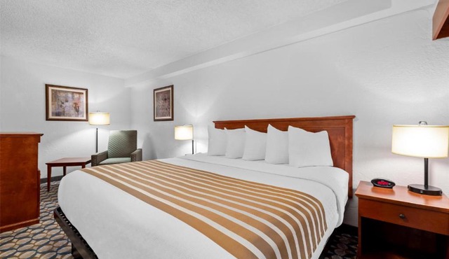 Best Western Vista Inn at the Airport