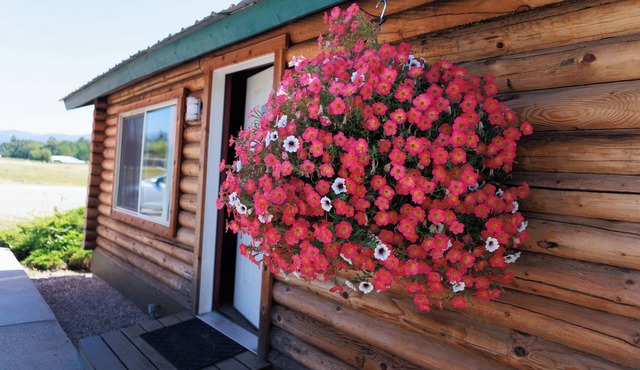 Big Medicine Cabins