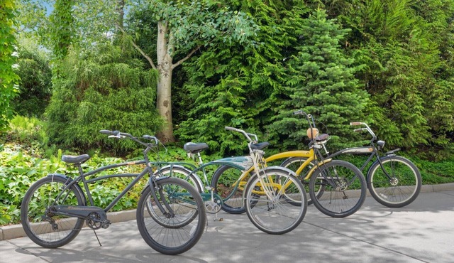 Bikes & Kayaks, Waterfront - Seasons at Sandpoint