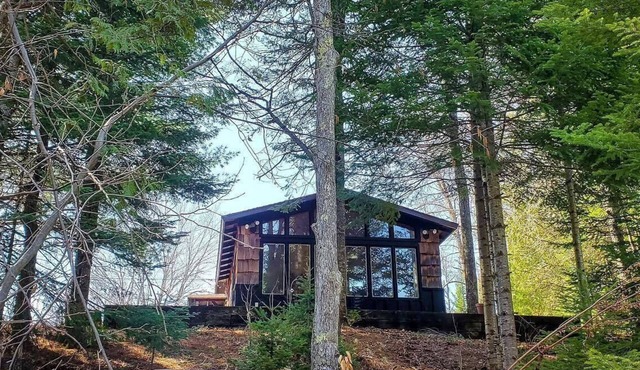 Black Bear Lodge: Fall Colors on the Au Sable | Cozy Riverfront Cabin in Frederic