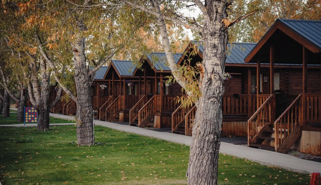 Blue Buffalo Resort