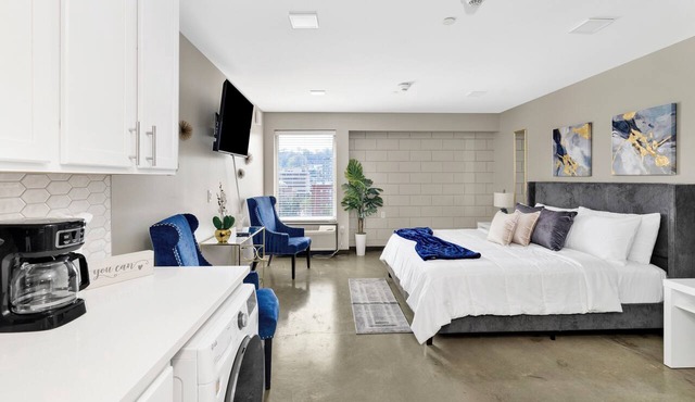 Blue Concrete Rose 1-bedroom apt in Downtown, Birmingham close to Uab with WiFi
