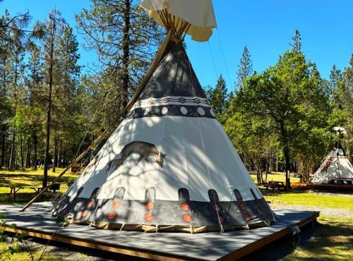 Buck and Does Tipi - 20' - Sleeps up to 4