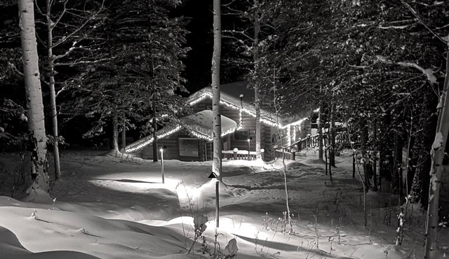 Cabin in The Woods - Wilson, WY