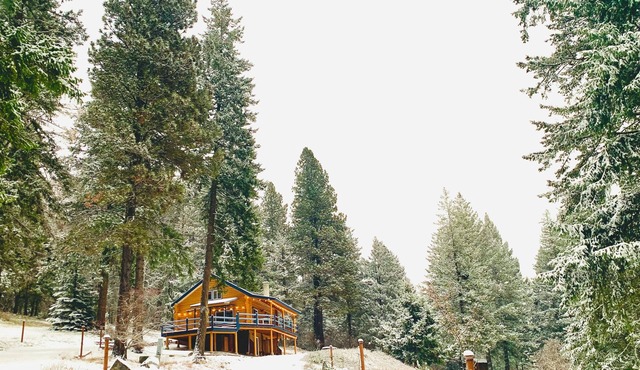 Cabin in the woods, with lake view