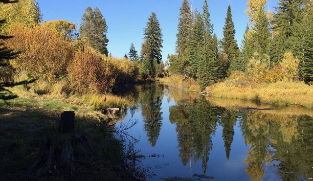 Cabin On Historic Guest Ranch. Private! Fishing! Secluded!