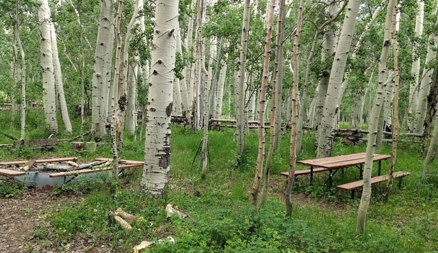 Camp Jackson Pavilion & Cabins