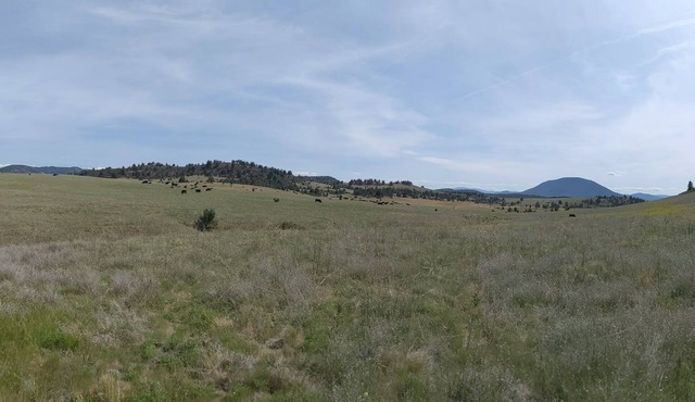 Cascade Valley Wonderland campground in Hornbrook perfect for outdoor adventures
