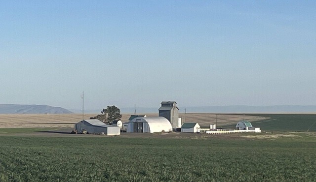 Century Farm in Horse Heaven Hills, Tri-Cities WA
