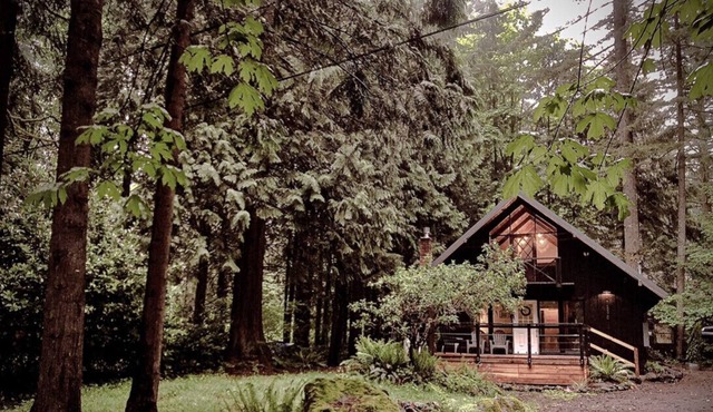 Charming Mt Hood Chalet, minutes to Mt fun! Woodsy feel.