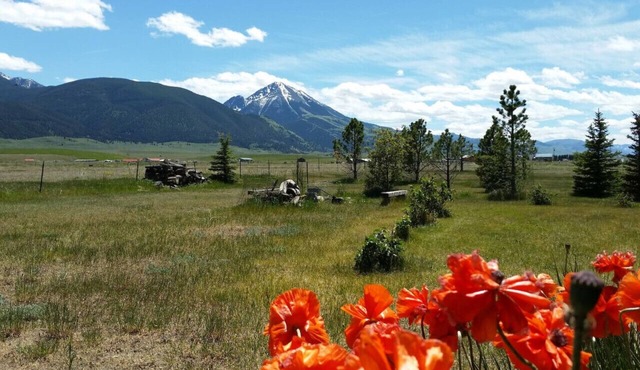 Chico Peak cabin near Yellowstone and Chico Hot Springs