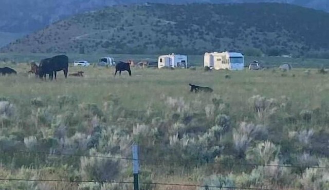 City of Rocks Entrance CAMPSITE
